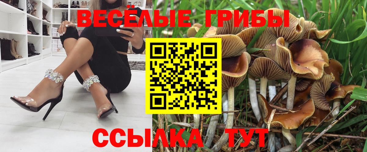 Псилоцибиновые грибы MAGIC MUSHROOMS Спасск-Дальний